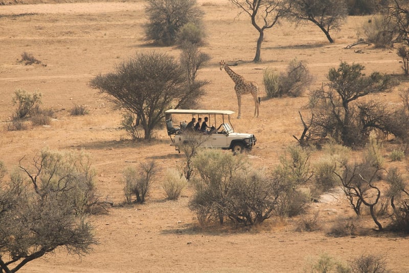 Sightseeing Tours